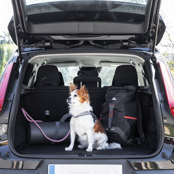 Capa protetora de assento individual automóvel para animais de estimação kabapet innovagoods