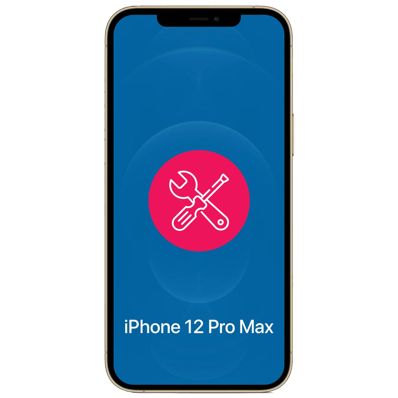 Reparação ou Substituição de Componentes  iPhone 12 Pro Max